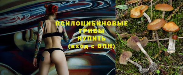 PSILOCYBIN Беломорск