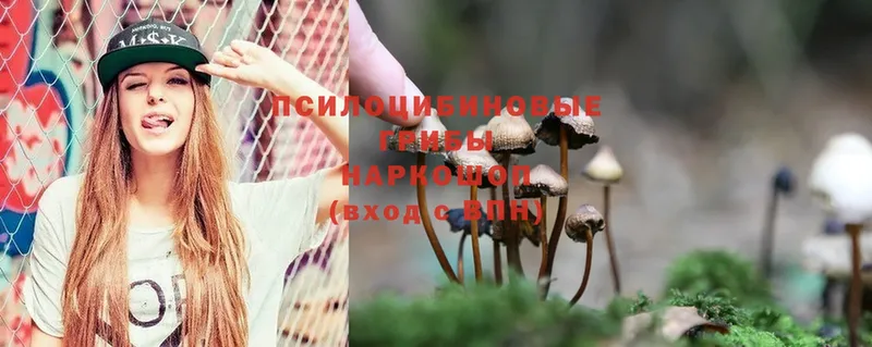 Псилоцибиновые грибы Magic Shrooms  Балабаново 